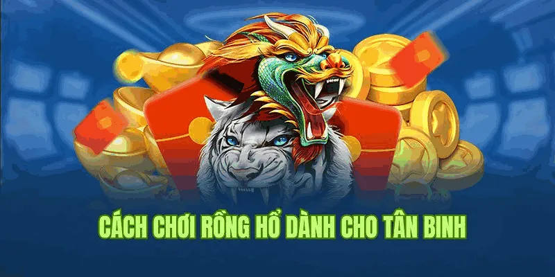 Hướng dẫn tham gia bài rồng hổ